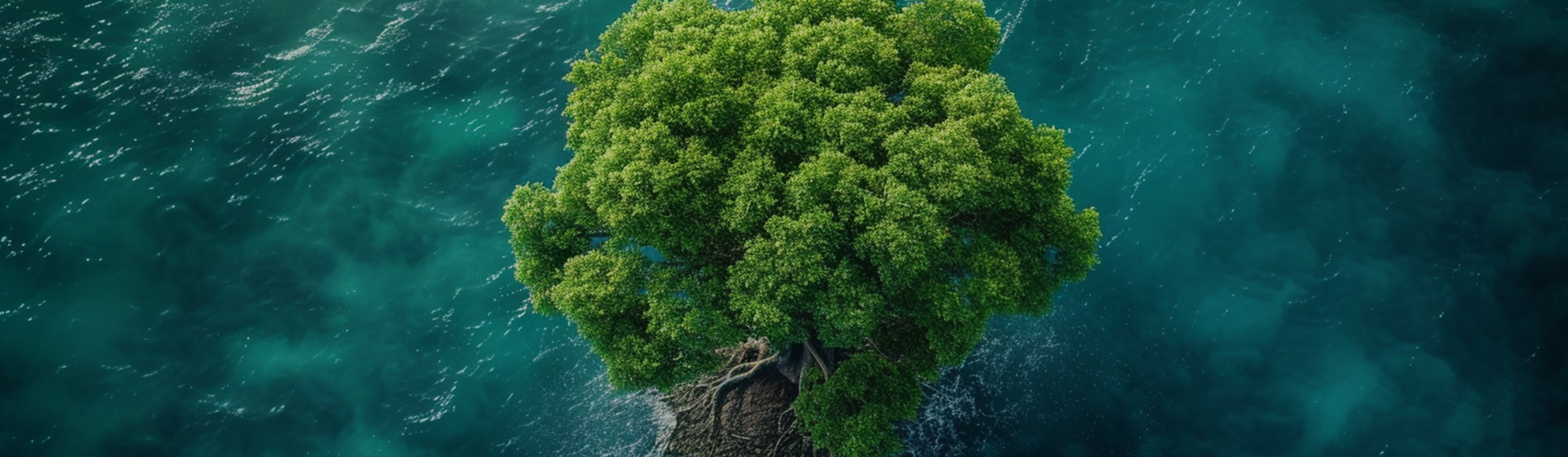 Công ty TNHH Công nghệ Ningbo Aikang Aluminum, Ltd.